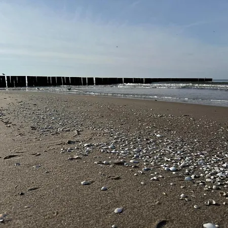 Lagoon View - By Rentmonkey Διαμέρισμα Dziwnów